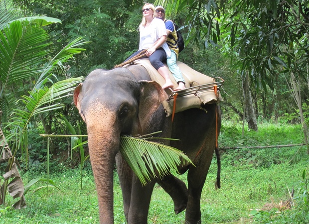 Crafting Unforgettable Journeys Across India