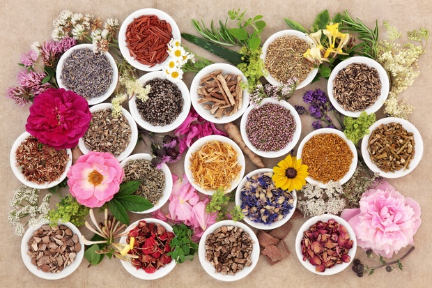 Cooking Classes for Indian Cuisine