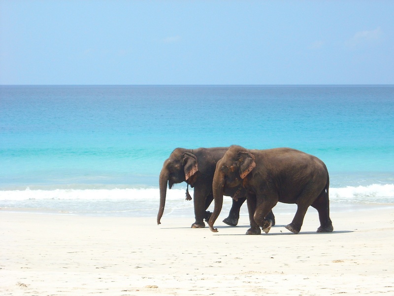 Goa beach holidays